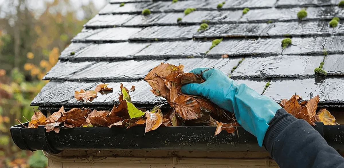 Gutter cleaning technician clearing wet leaves from roof gutters in South Bend, IN